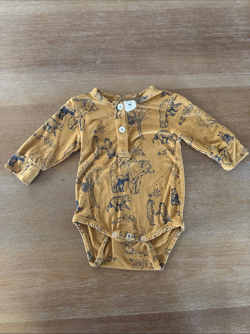 Kate Quinn bear family onesie